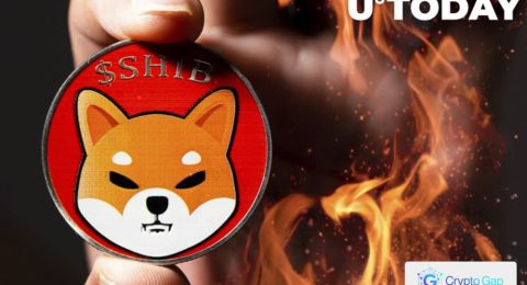 14.6 Million SHIB Burned in Last 24 Hours