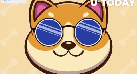 BabyDoge Holder Number Spikes to New Record