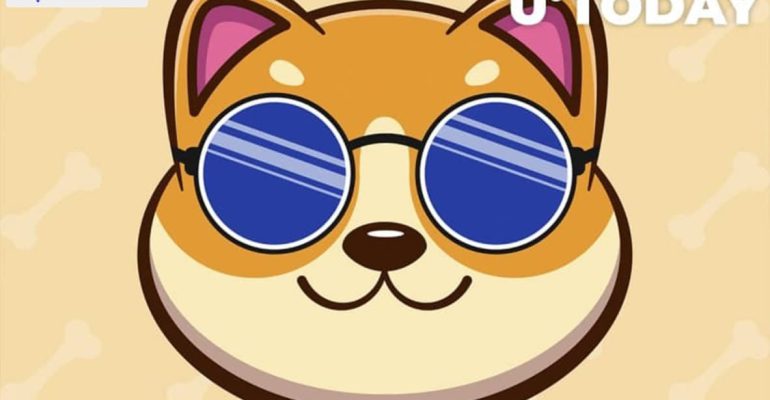 BabyDoge Holder Number Spikes to New Record