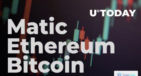 Bitcoin, ethereum and Matic were the most profitable coins in 2021