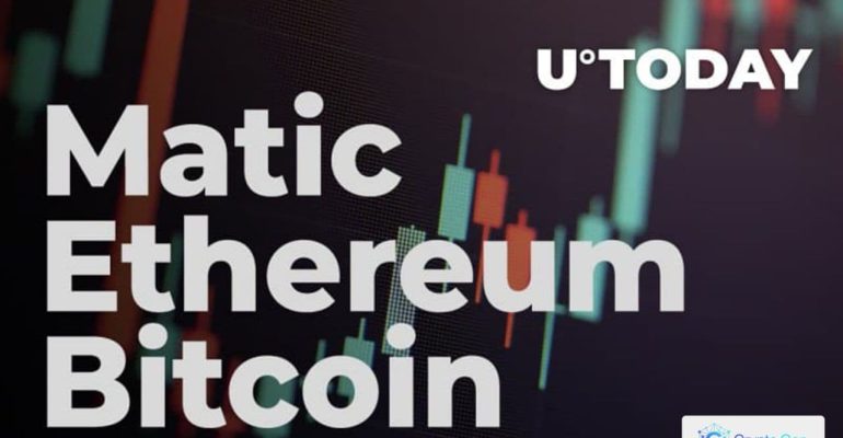 Bitcoin, ethereum and Matic were the most profitable coins in 2021