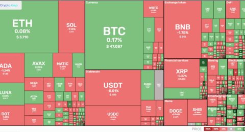 Market overview of cryptocurrency daily 31.12.2021
