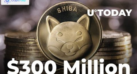 SHIB Whales Buy $300 Million Worth of Tokens