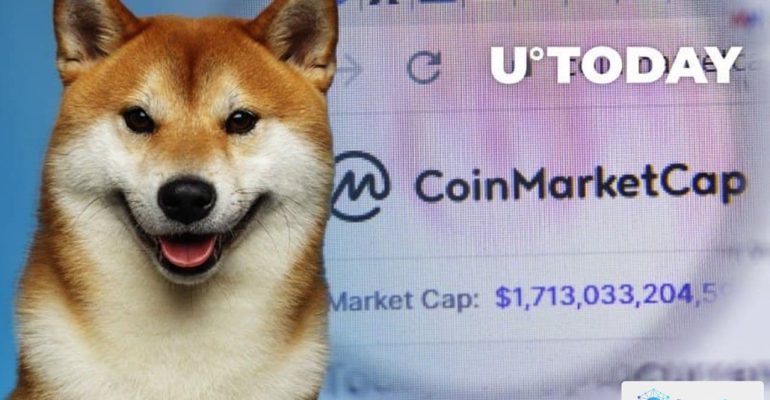 Shiba had the most visits on the CoinMarketCap site in 2021