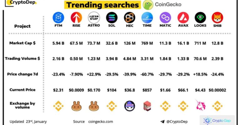 Trending Searches by CoinGecko