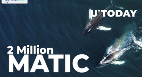 Two Major Ethereum Whales Buy 2 Million MATIC in Past 24 Hours