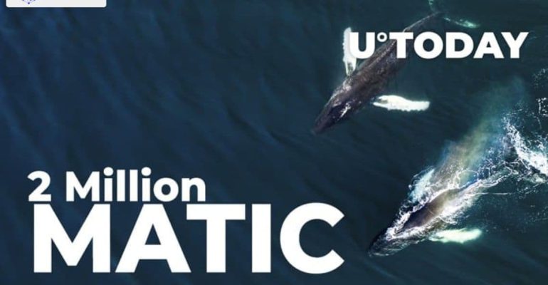 Two Major Ethereum Whales Buy 2 Million MATIC in Past 24 Hours