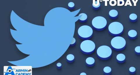 بنیانگذار کاردانو می خواهد با ایلان ماسک توییتر غیرمتمرکز بسازد