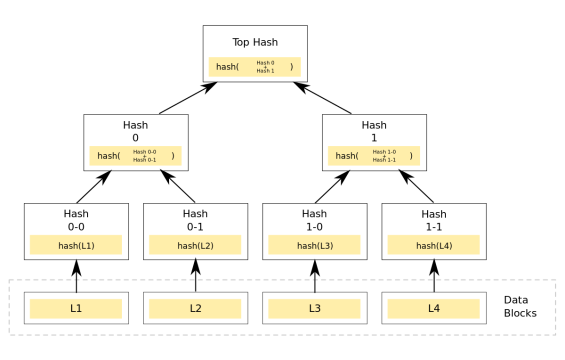 درخت مرکل (Merkle Tree)