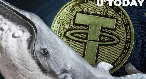 فروش 710 میلیون دلار تتر Tether به دلیل ترس توسط نهنگ ها