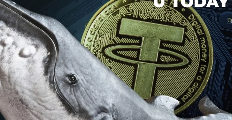 فروش 710 میلیون دلار تتر Tether به دلیل ترس توسط نهنگ ها