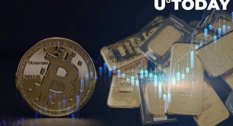 عملکرد 40 درصدی بهتر طلای کریپتو PAXG نسبت به بیت کوین BTC