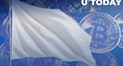 ظاهرا دارندگان کوتاه مدت بیت کوینBitcoin تسلیم شده اند